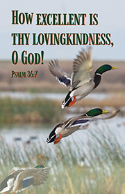 Church Bulletin