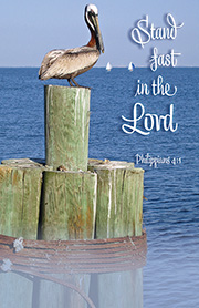Church Bulletin