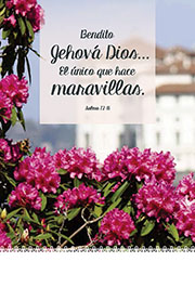 Church Bulletins in Spanish